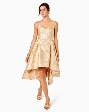 Lilly Pulitzer Alisalynn Floral Dress In Gold Organza Brocade sz 2